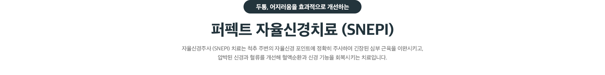두통, 어지러움을 효과적으로 개선하는 퍼펙트 자율신경치료(SNEPI) - 척추 주변 자율신경 포인트에 정확히 주사해 심부 근육 이완