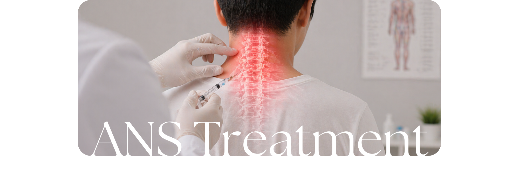 척추 주변 자율신경 포인트에 시행하는 자율신경주사 치료 ANS Treatment