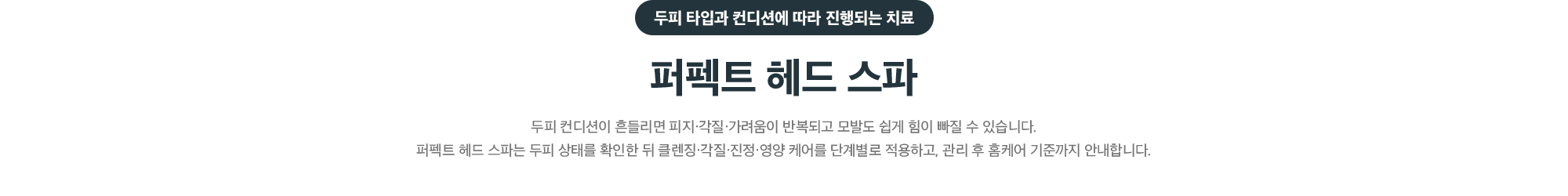 두피 타입과 컨디션에 따라 진행되는 퍼펙트 헤드 스파 - 두피 상태를 확인한 뒤 클렌징·각질·진정·영양 케어를 단계별로 적용하고 홈케어 기준까지 안내