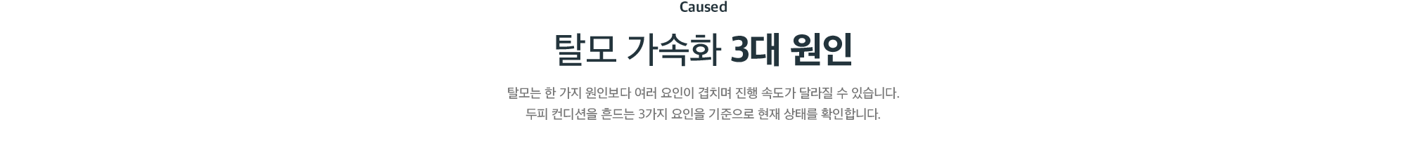 탈모 가속화 3대 원인 - 두피 컨디션을 흔드는 요인을 기준으로 현재 상태 확인