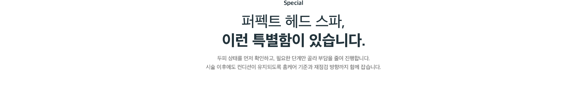 퍼펙트 헤드 스파만의 특별함 - 두피 상태 확인 후 필요한 단계만 적용, 홈케어 기준과 재점검까지 안내