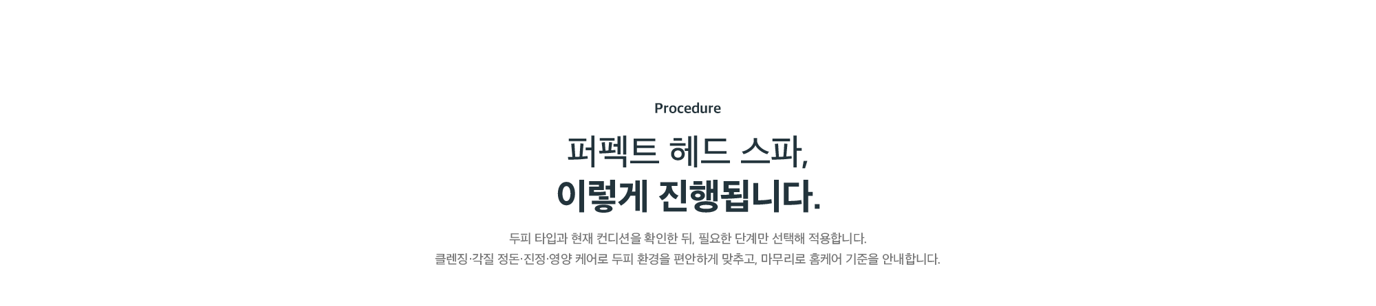 퍼펙트 헤드 스파 진행 과정 - 두피 타입과 컨디션 확인 후 클렌징·각질 정돈·진정·영양 케어 단계별 적용