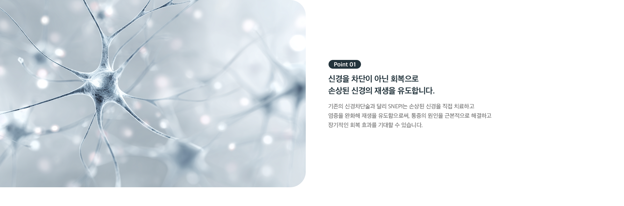 Point 01 - 신경을 차단이 아닌 회복으로, 손상된 신경의 재생을 유도하는 SNEPI 치료
