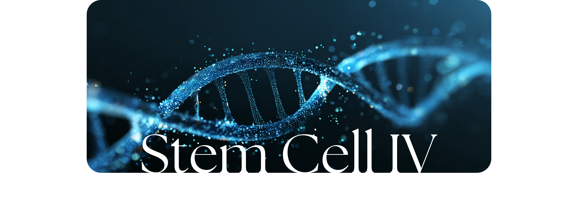 자가혈 줄기세포 수액(Stem Cell IV) - 시청역퍼펙트정형외과